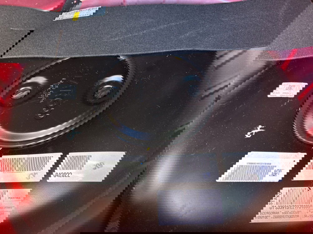 Dacia Sandero usata a Roma (11)