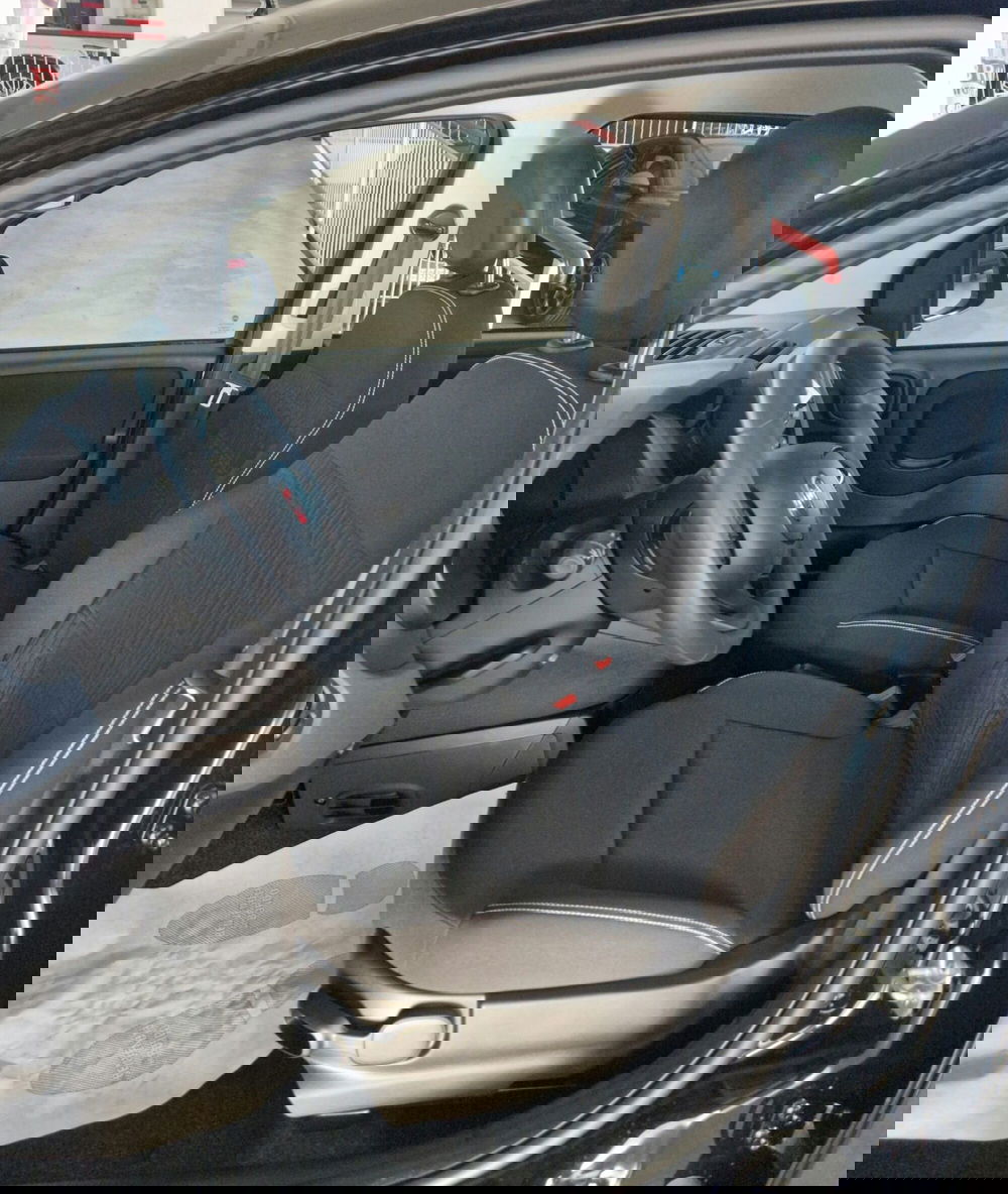 Fiat Panda nuova a Terni (7)