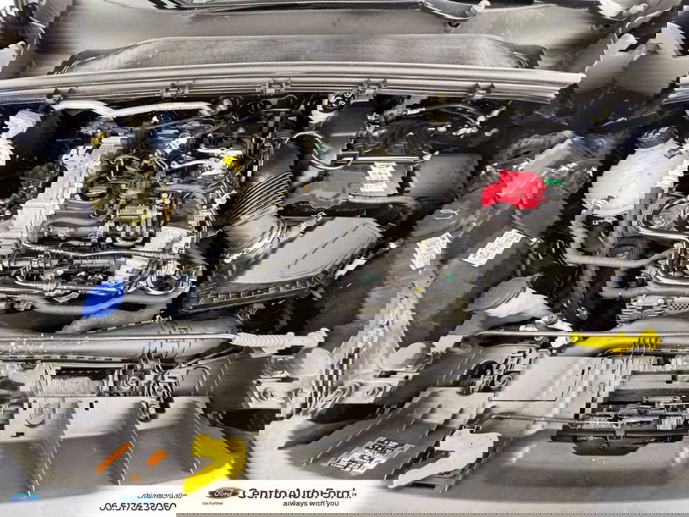 Ford Puma usata a Roma (12)