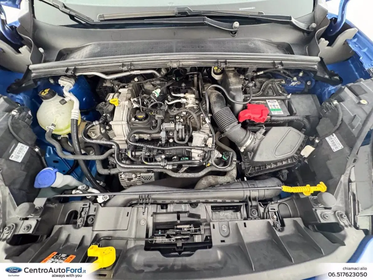 Ford Puma usata a Roma (12)