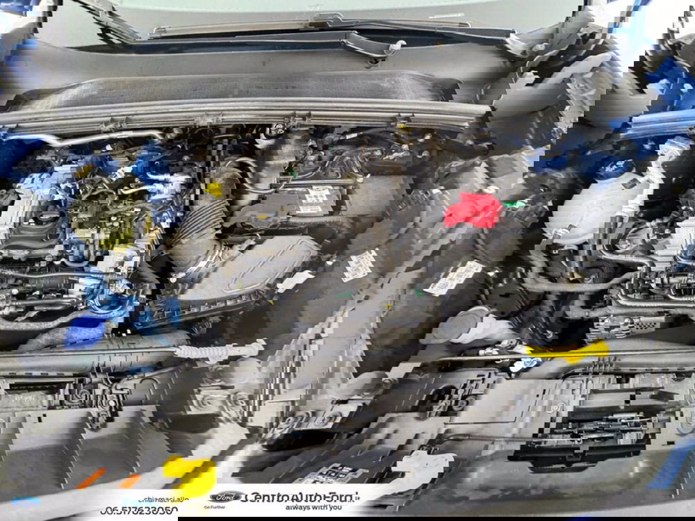 Ford Puma usata a Roma (12)