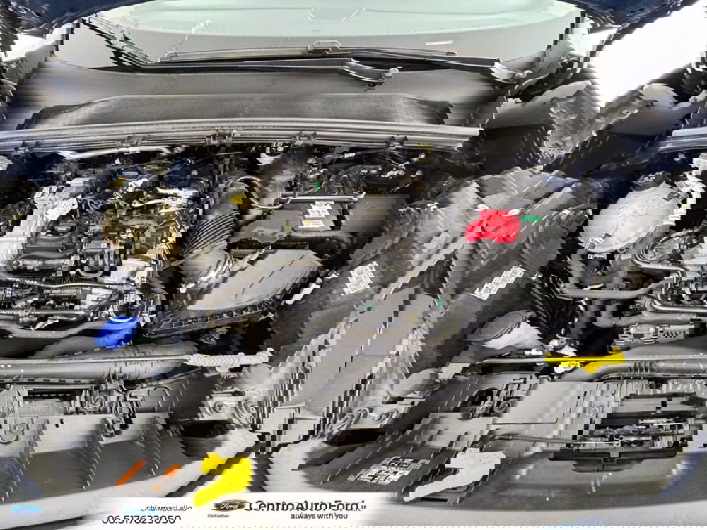 Ford Puma usata a Roma (12)