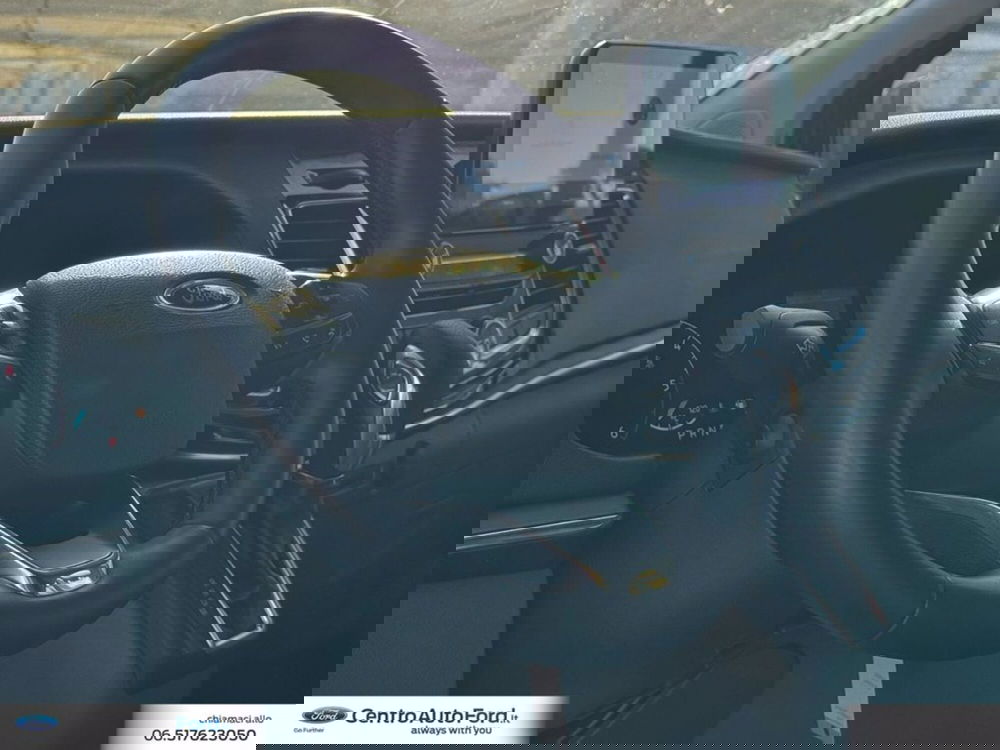 Ford Tourneo Custom usata a Roma (19)