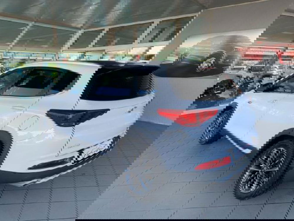 Dr dr F35 usata a Trieste (3)