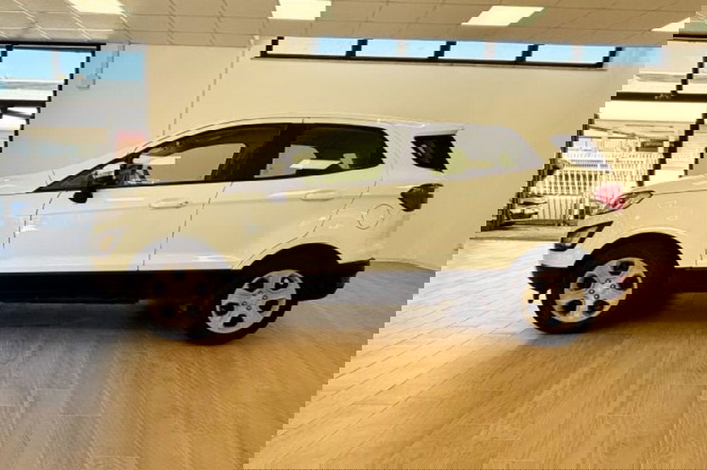 Ford EcoSport usata a Latina (4)