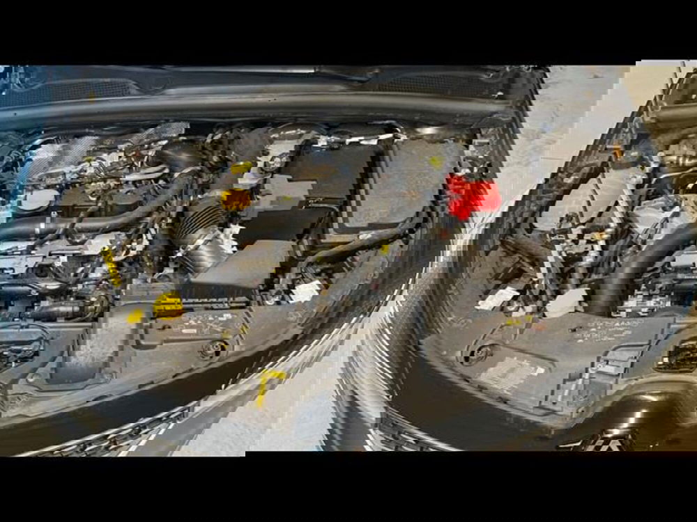 Renault Clio usata a Firenze (14)