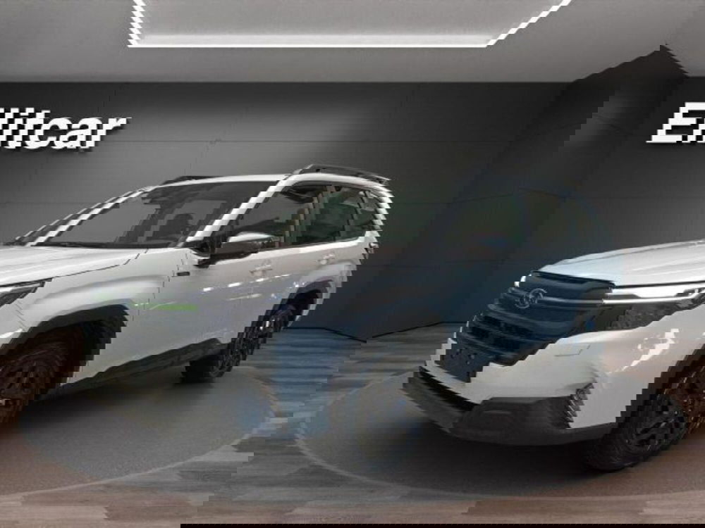 Subaru Forester nuova a Novara