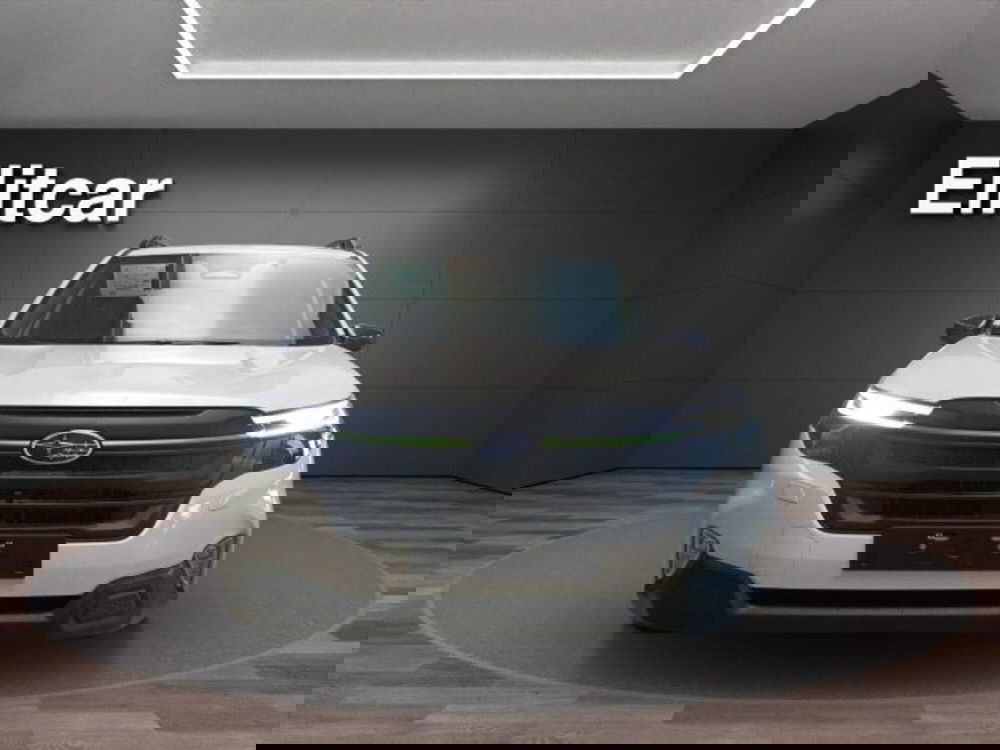 Subaru Forester nuova a Novara (2)