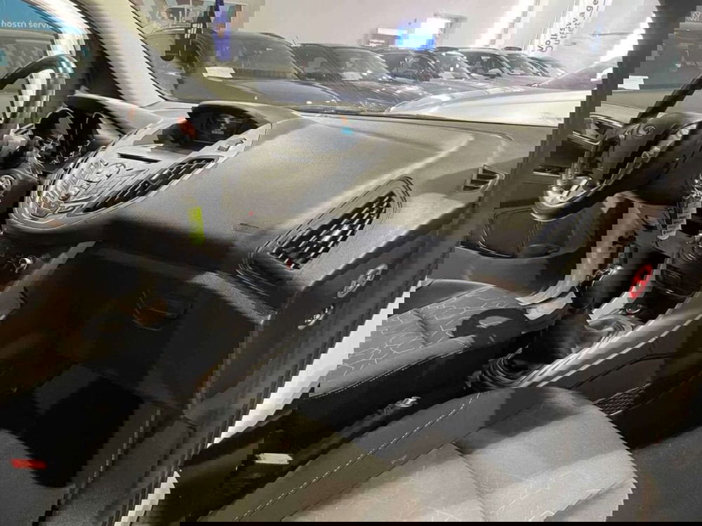 Ford B-Max usata a Genova (10)