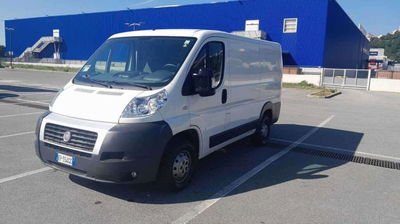 Fiat Ducato Furgone 30 2.3 MJT PC-TN Furgone del 2012 usata a Genova