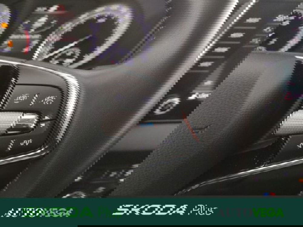 Skoda Karoq usata a Vicenza (20)