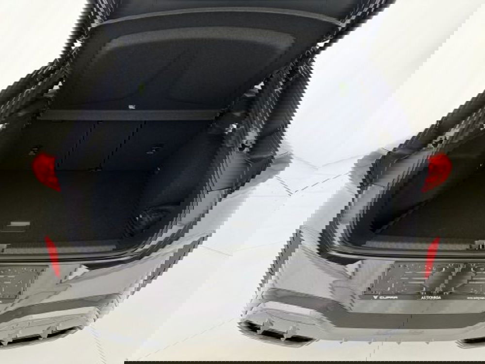 Cupra Terramar usata a Vicenza (10)