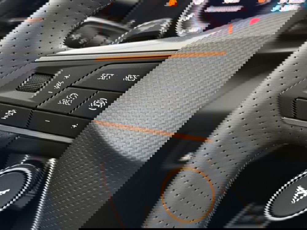 Cupra Terramar usata a Vicenza (17)