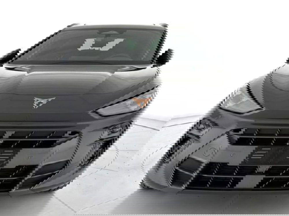 Cupra Terramar usata a Vicenza (2)