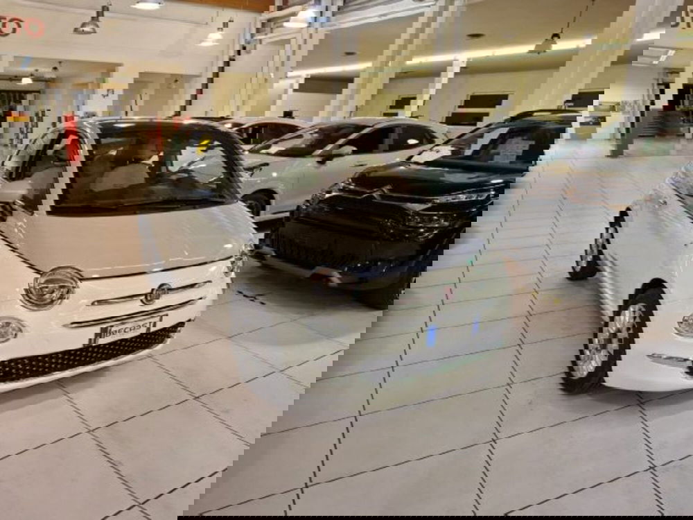 Fiat 500 usata a Vicenza (3)