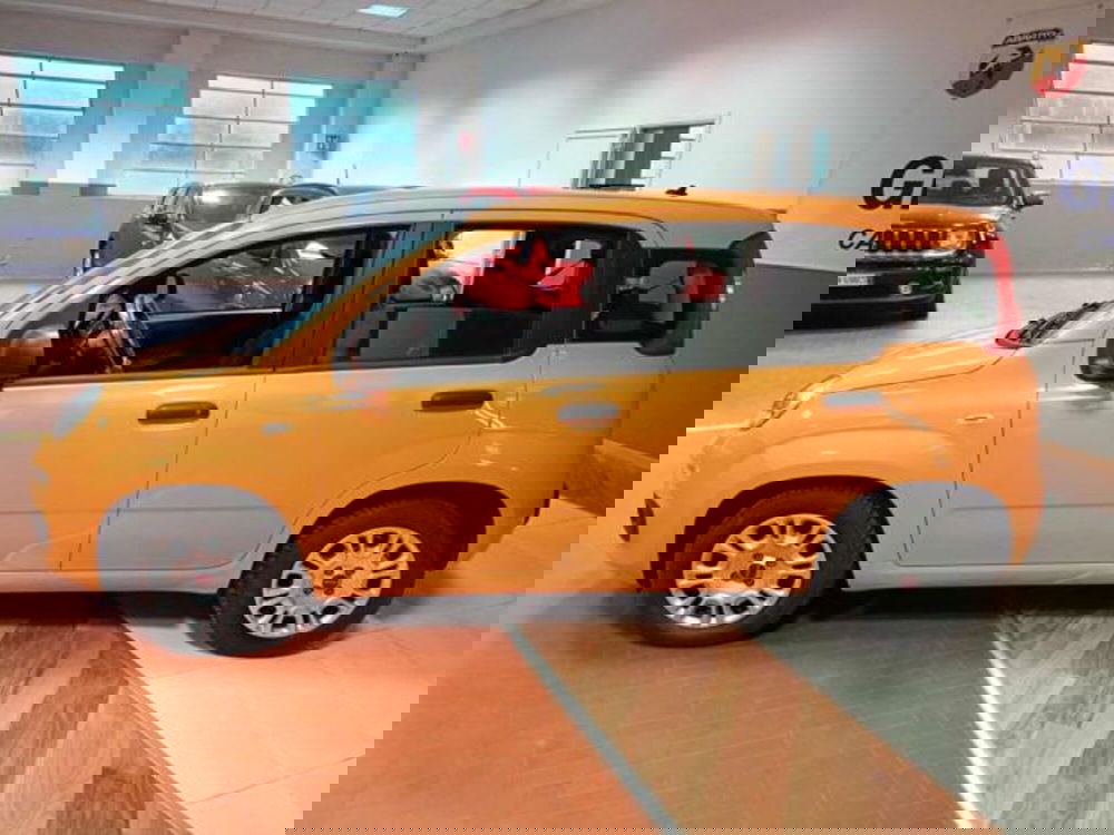 Fiat Panda usata a Vercelli (4)