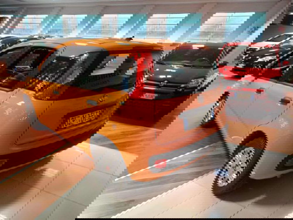 Fiat Panda usata a Vercelli (5)