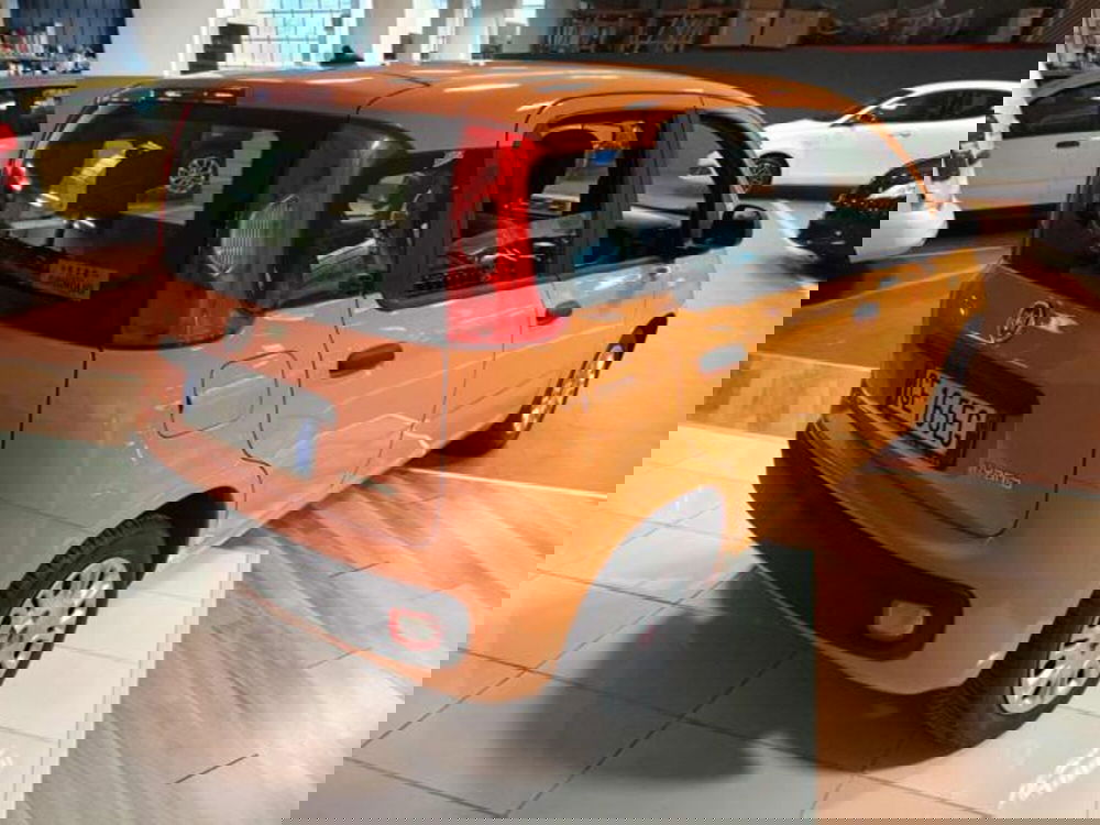 Fiat Panda usata a Vercelli (7)