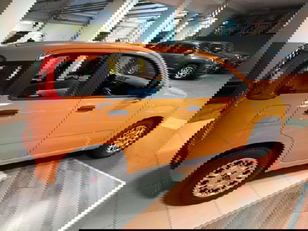 Fiat Panda usata a Vercelli (8)