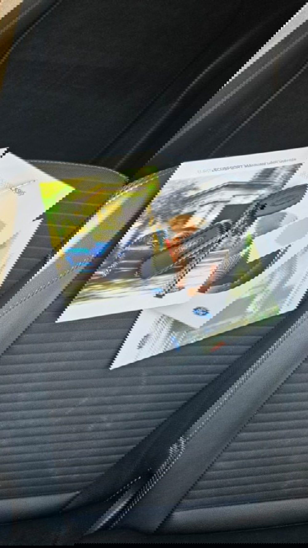 Ford EcoSport usata a Lucca (8)