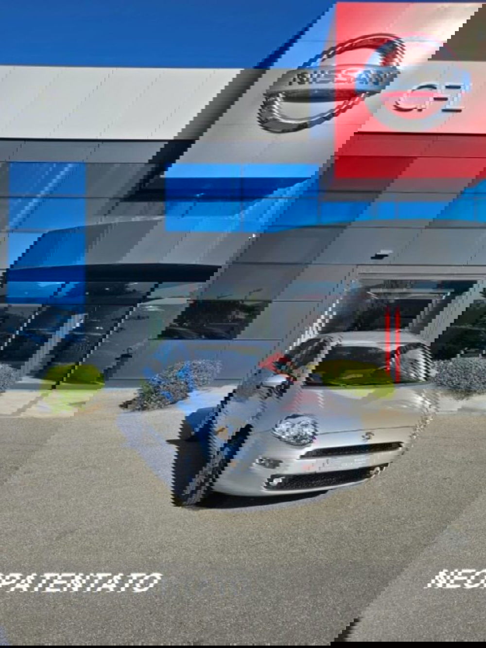 Fiat Punto usata a Lucca