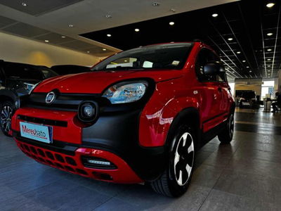 Fiat Panda 1.2 City Cross del 2019 usata a Sassari