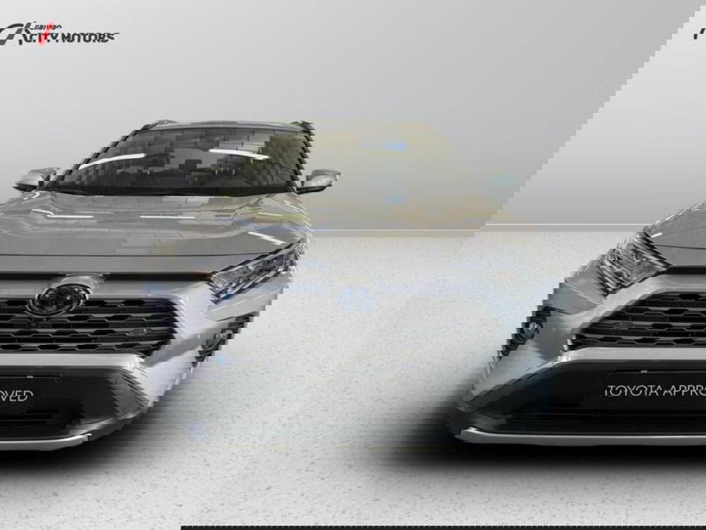 Toyota Rav4 usata a Monza e Brianza (3)