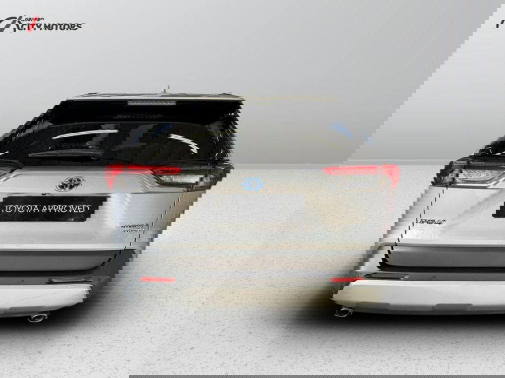 Toyota Rav4 usata a Monza e Brianza (6)