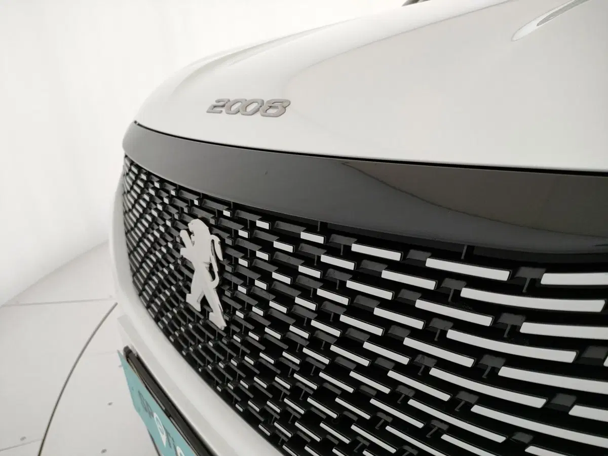 Peugeot 2008 usata a Caserta (12)
