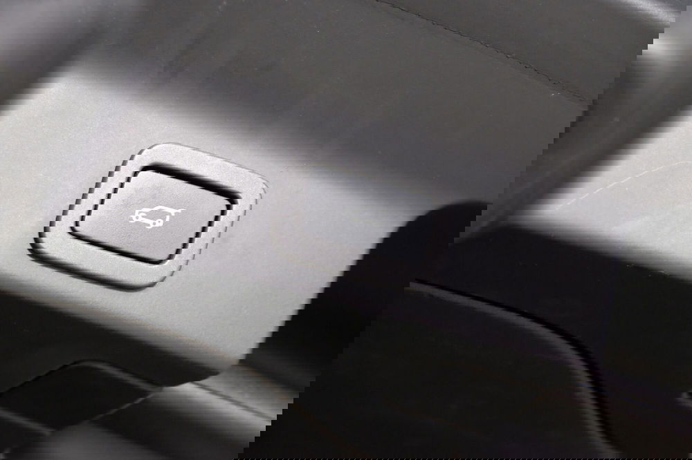 Jaguar F-Pace usata a Torino (20)