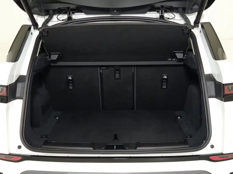 Land Rover Range Rover Evoque usata a Torino (13)