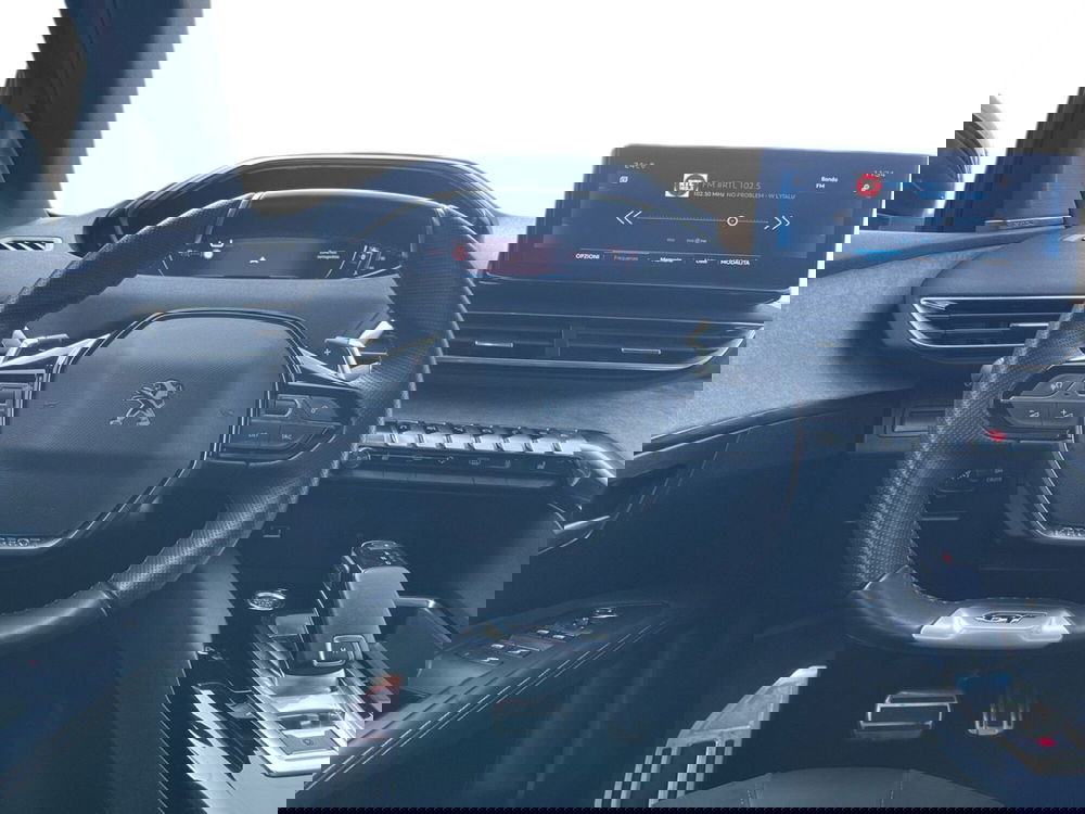 Peugeot 3008 usata a Torino (12)