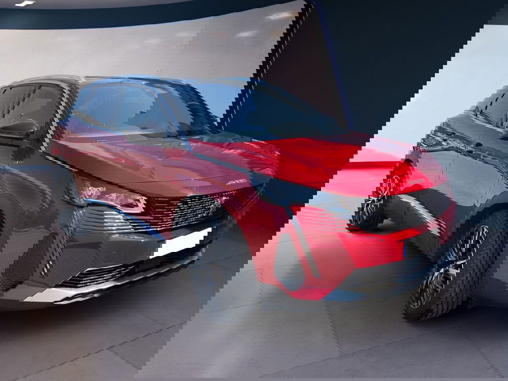 Peugeot 3008 usata a Torino (3)