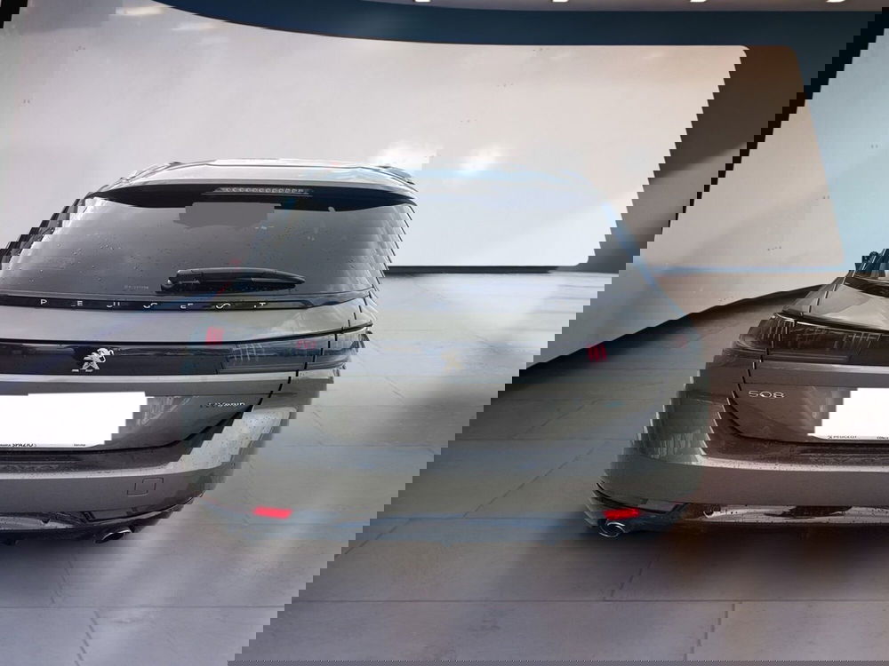 Peugeot 508 SW usata a Torino (6)