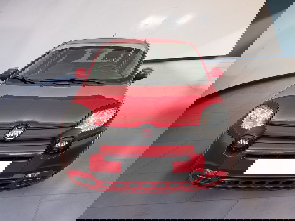 Fiat Panda Cross usata a Torino