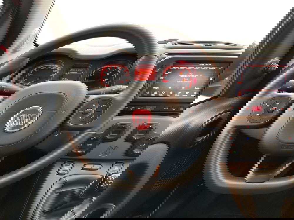 Fiat Panda Cross usata a Torino (11)