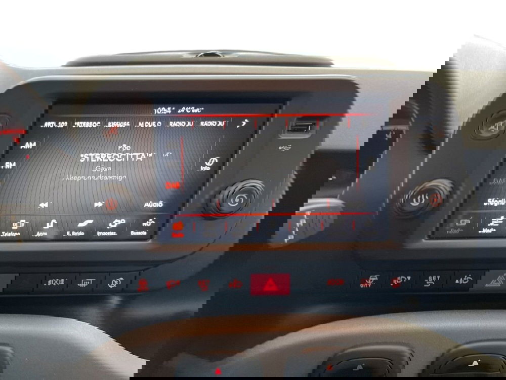 Fiat Panda Cross usata a Torino (13)