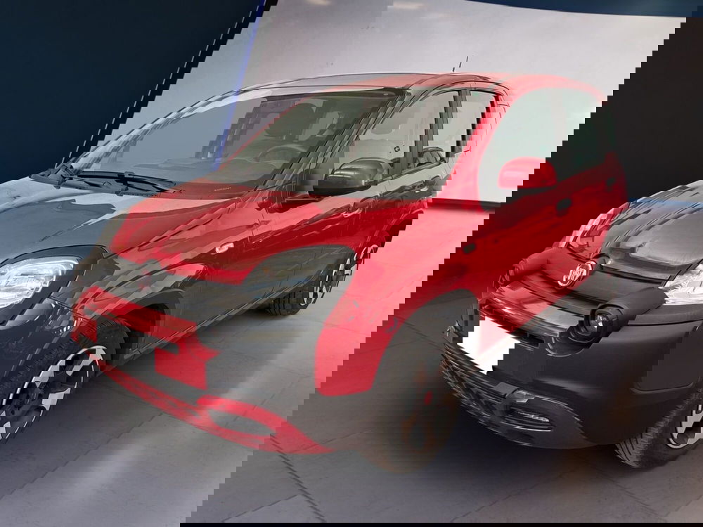 Fiat Panda Cross usata a Torino (2)