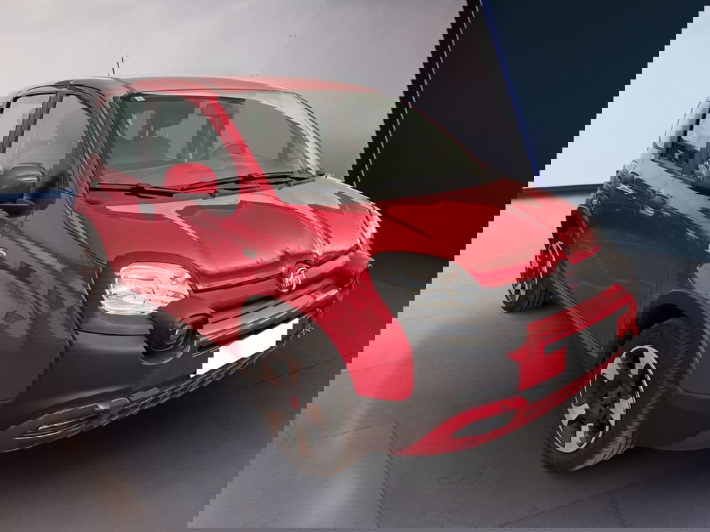 Fiat Panda Cross usata a Torino (3)