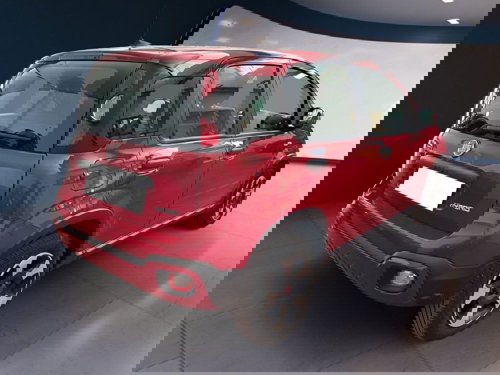 Fiat Panda Cross usata a Torino (4)