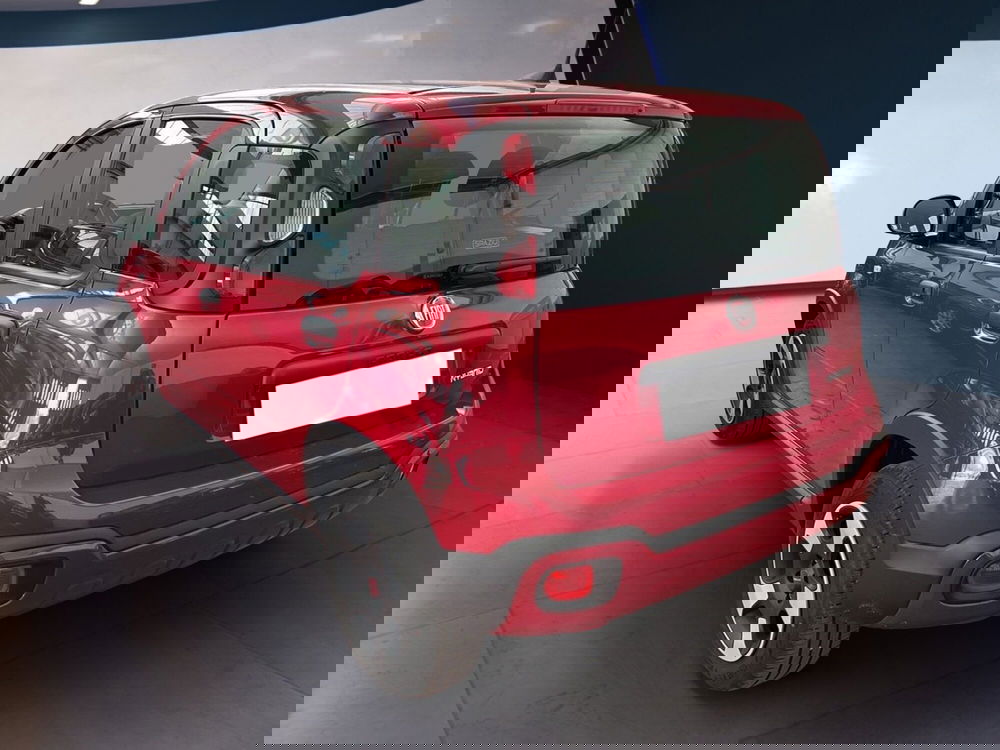 Fiat Panda Cross usata a Torino (5)