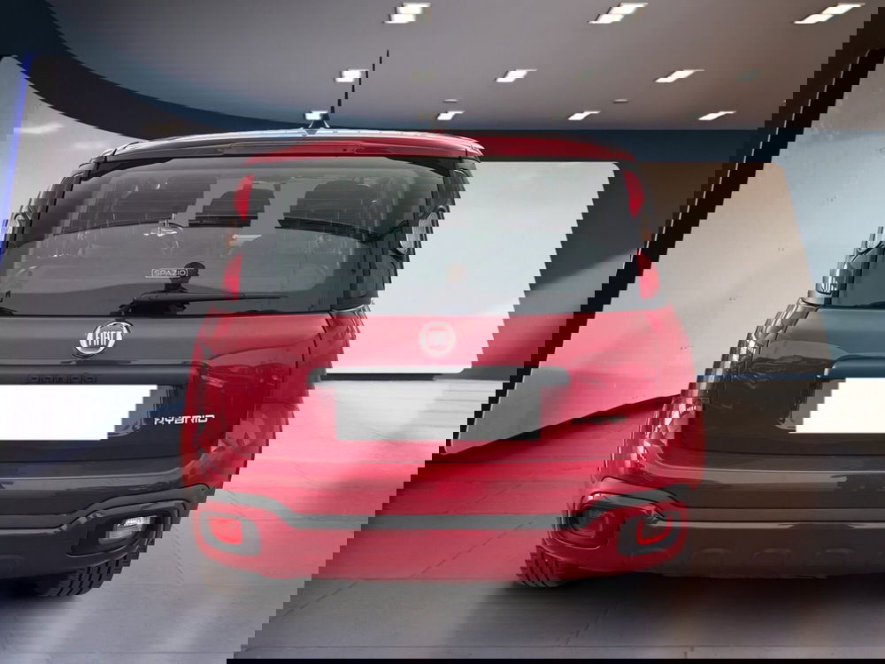 Fiat Panda Cross usata a Torino (6)