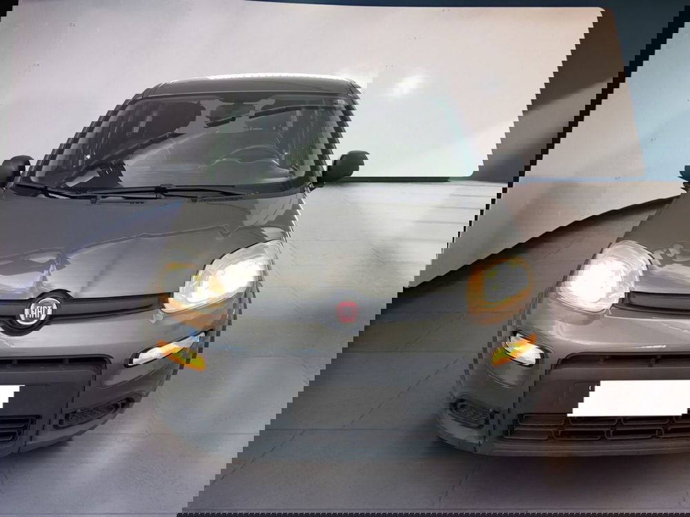 Fiat Panda usata a Torino