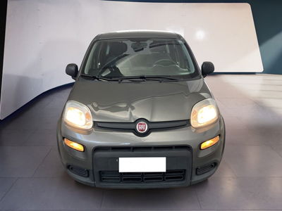 Fiat Panda 1.2 EasyPower del 2022 usata a Torino