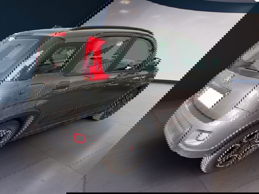 Fiat Panda usata a Torino (18)