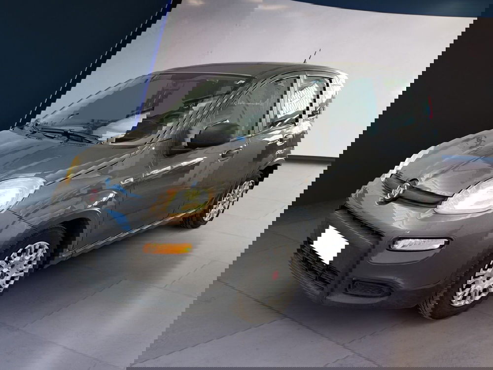 Fiat Panda usata a Torino (2)