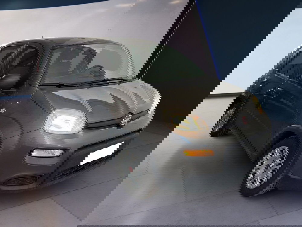 Fiat Panda usata a Torino (3)