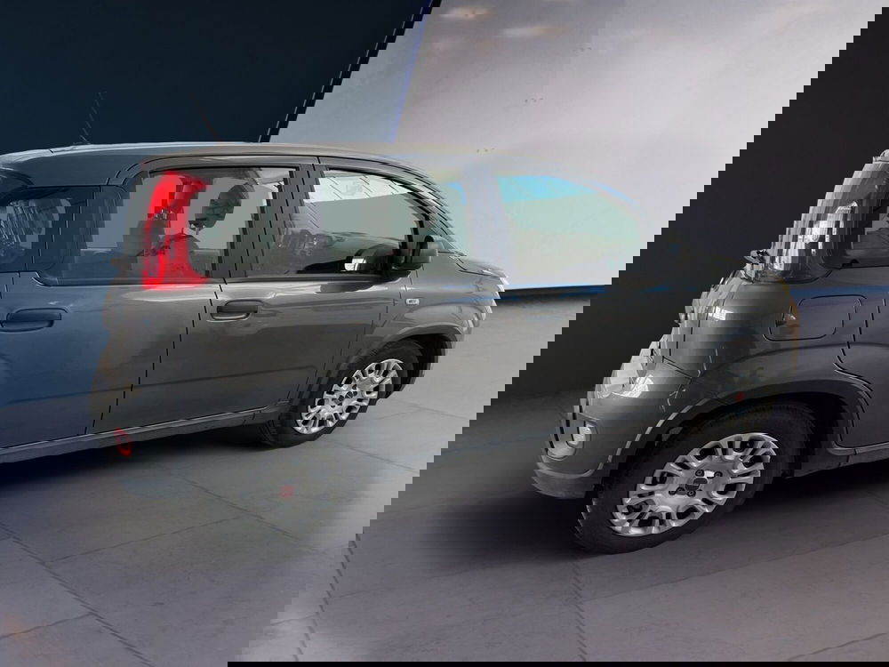 Fiat Panda usata a Torino (4)