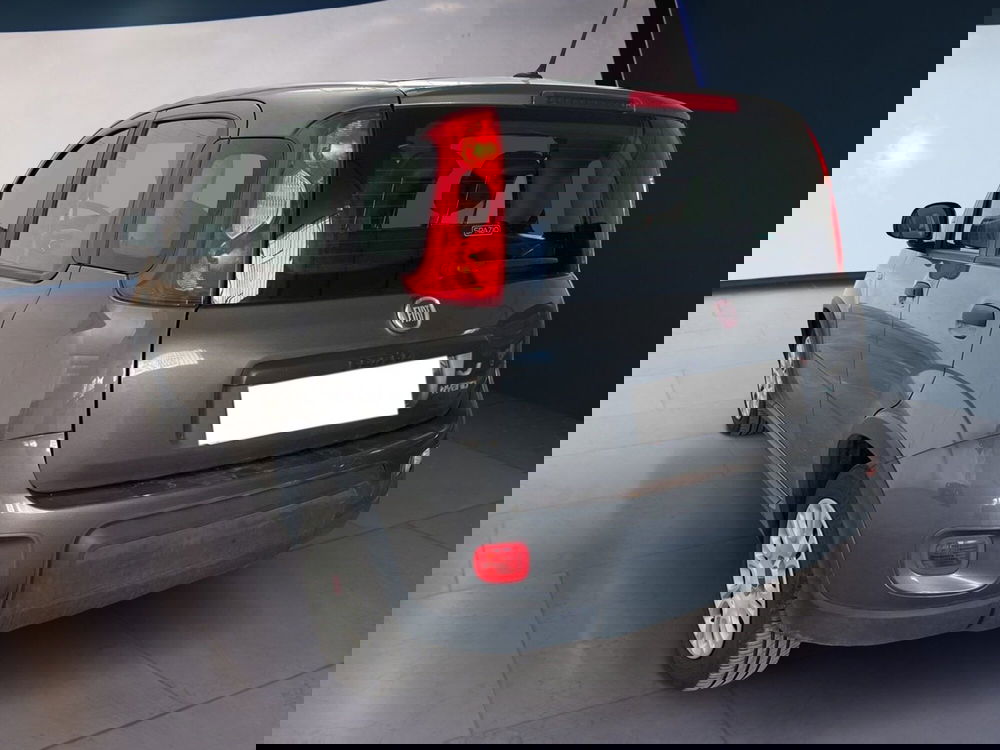 Fiat Panda usata a Torino (6)