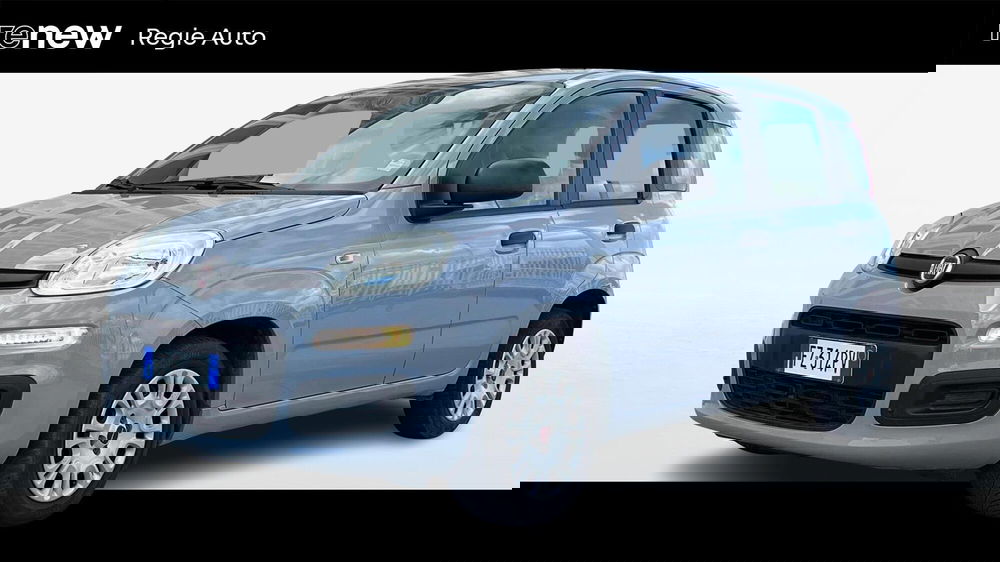 Fiat Panda usata a Viterbo